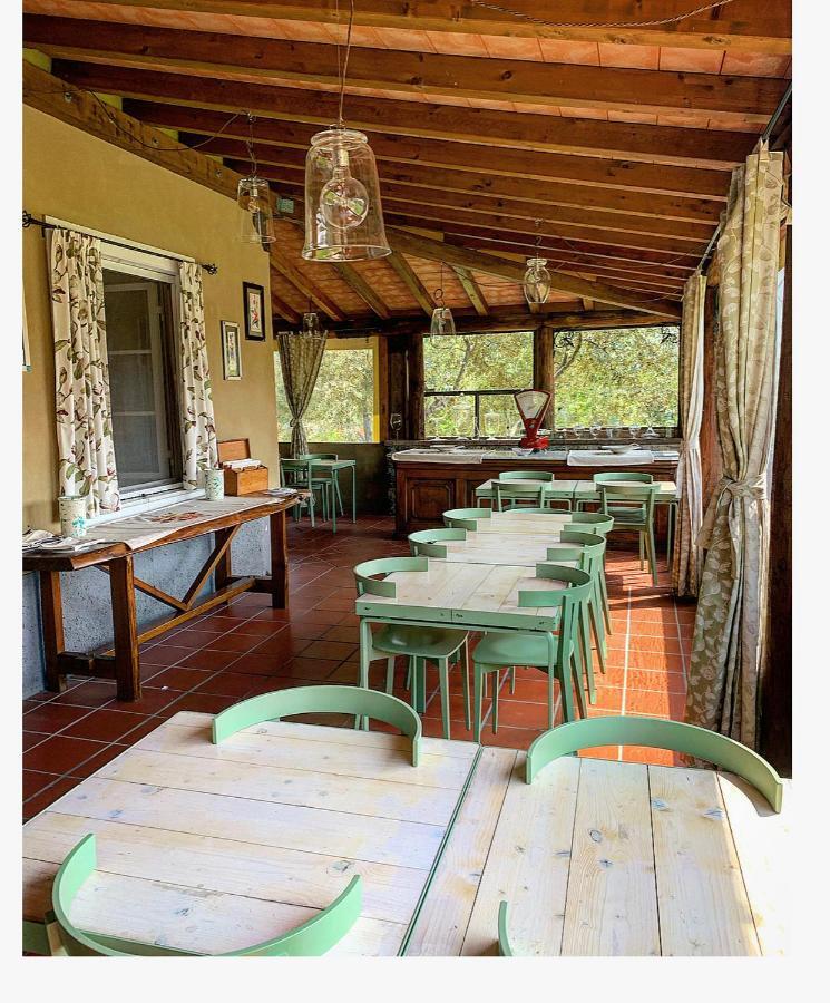 La Valle Guest House Castelnuovo Magra Ngoại thất bức ảnh